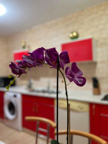 Noreea Central Apartment