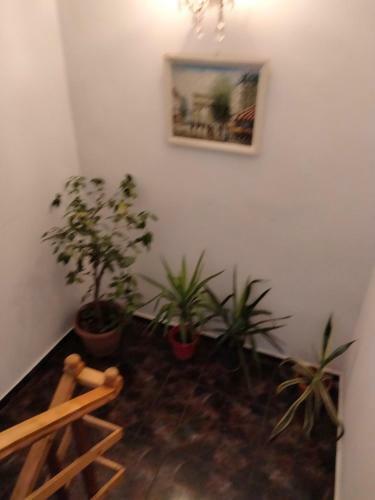 Apartament Lili