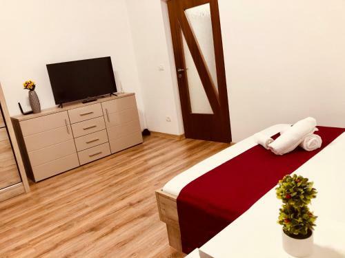 Ultra-central Modern And New Apartment