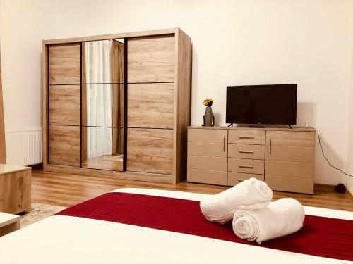 Ultra-central Modern And New Apartment