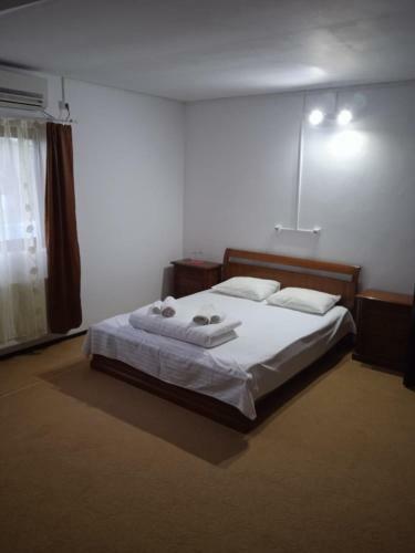 Hostal Pensiunea Ofelia