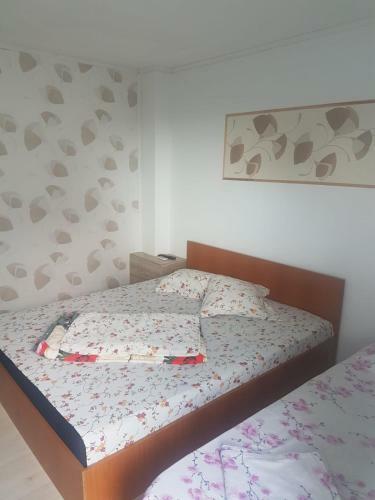 Hostal Pensiunea Flaviu Eforie Sud