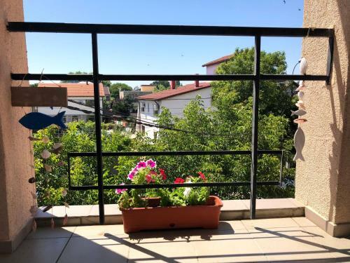 Apartamento Vila Maria