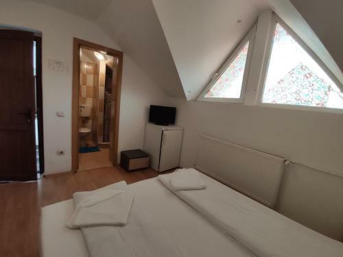 Hostal Pensiunea Alb