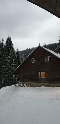 Lodge Cabana Patru Brazi
