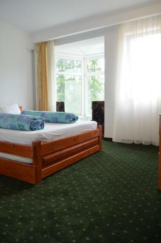 Lodge Vila Liliacul