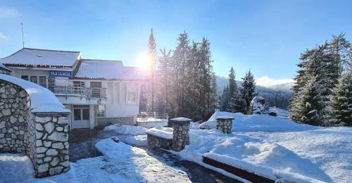 Lodge Vila Liliacul
