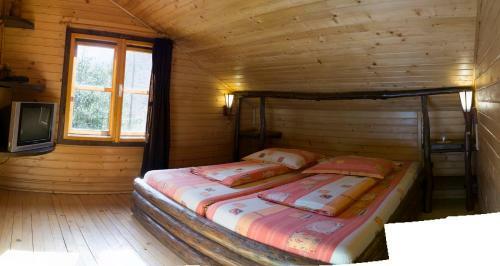 Lodge Rustic House