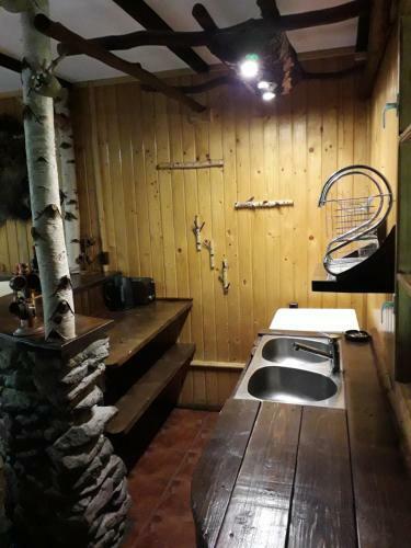 Lodge Rustic House
