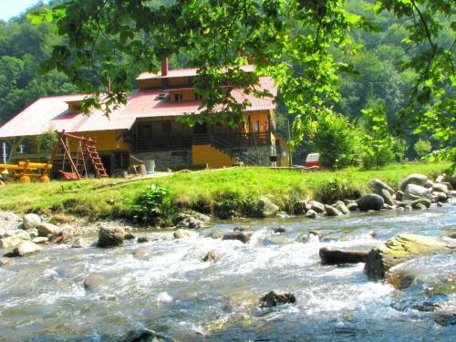 Lodge Rustic House