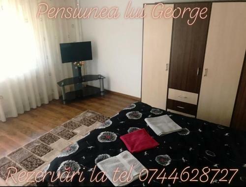 Hostal Pensiunea Lui George