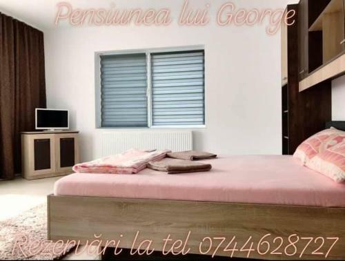 Hostal Pensiunea Lui George