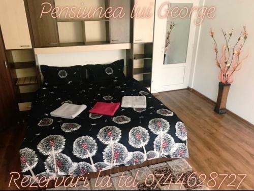 Hostal Pensiunea Lui George