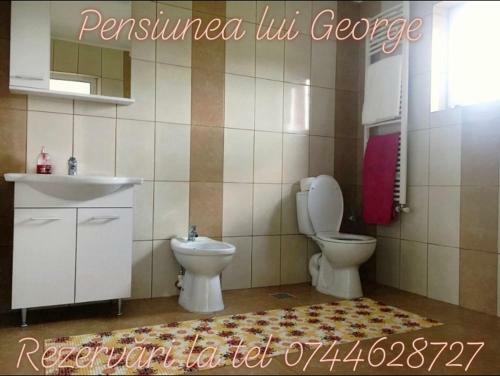 Hostal Pensiunea Lui George