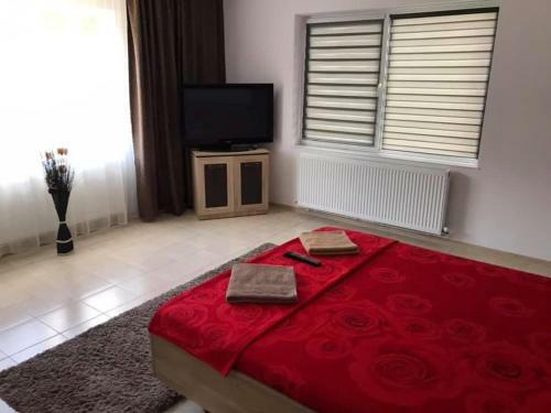 Hostal Pensiunea Lui George