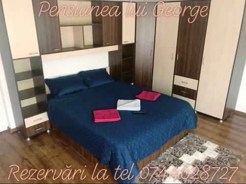 Hostal Pensiunea Lui George