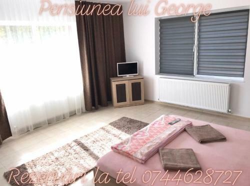 Hostal Pensiunea Lui George