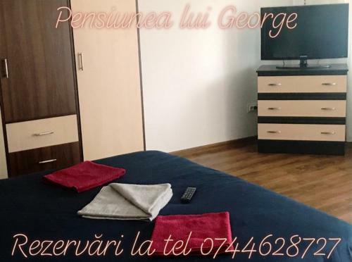 Hostal Pensiunea Lui George