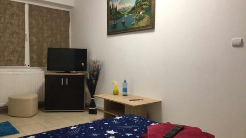 Hostal Pensiunea Lui George