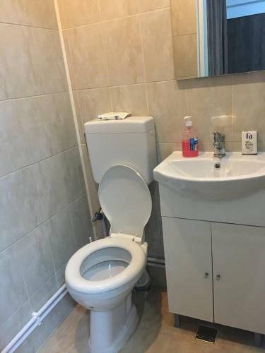 Hostal Pensiunea Lui George