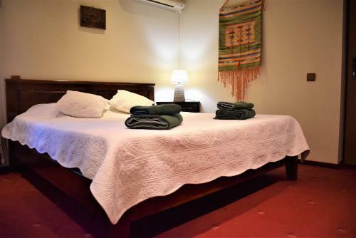 Lodge Cabana Soveja