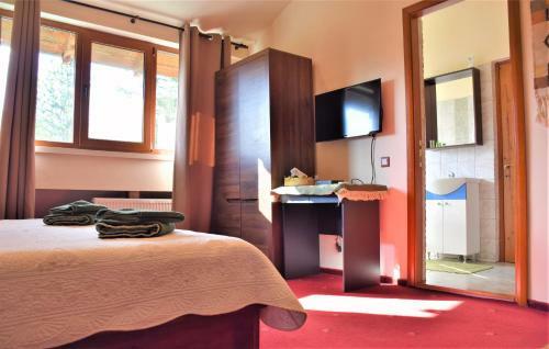Lodge Cabana Soveja