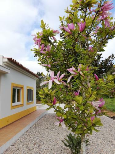 The Fox Farm House - Full Private Property With Heated & Covered Pool