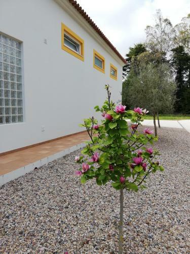 The Fox Farm House - Full Private Property With Heated & Covered Pool