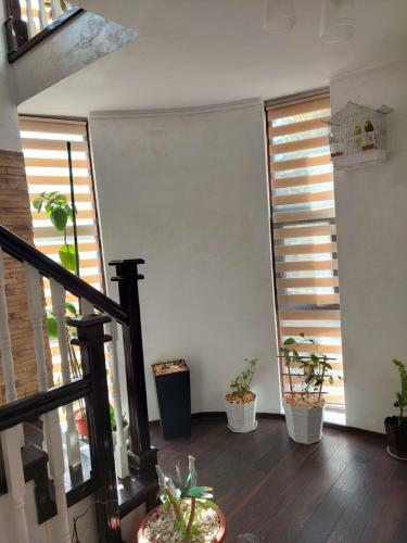 Hostal Camera Tripla