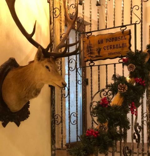 Hostal La Popasul Cerbului