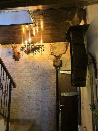 Hostal La Popasul Cerbului