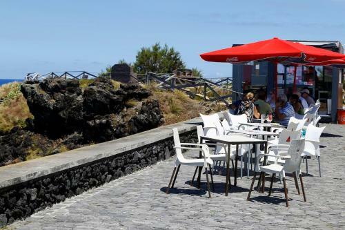 Magn�lia