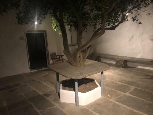 Albergue Slowly - Com Vagar