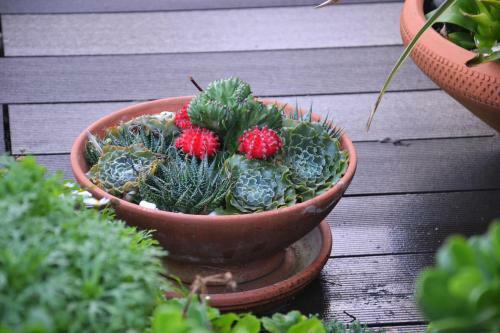 Natureza Vulc�nica