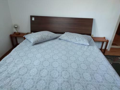 Hostal Vila Brazilor