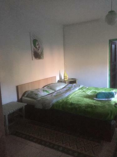 Hostal Vila Licurici