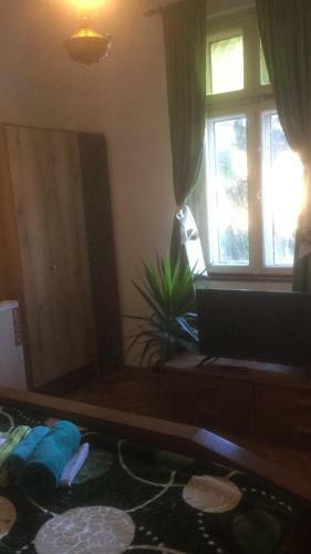 Hostal Vila Licurici