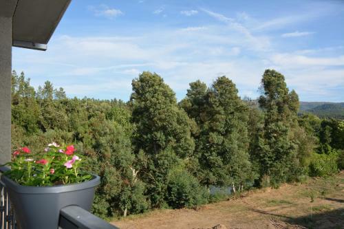 B&B En Glamping Quinta Do Rio Alva