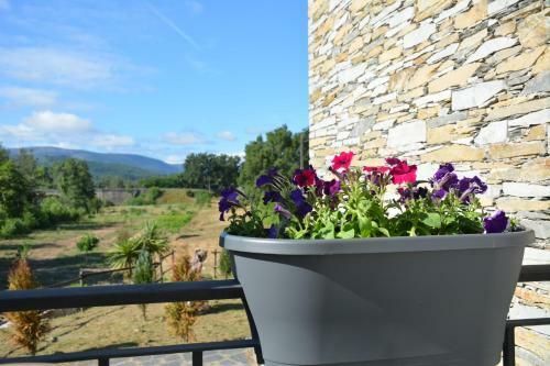 B&B En Glamping Quinta Do Rio Alva