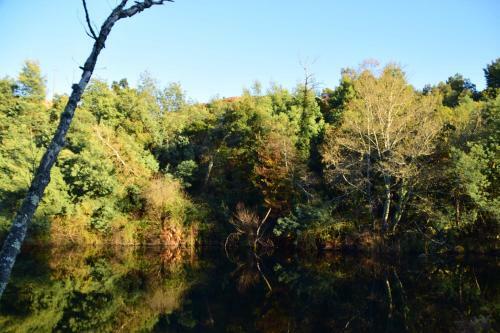 B&B En Glamping Quinta Do Rio Alva