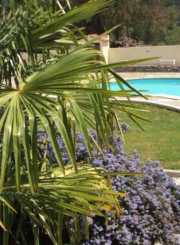 Casa Mondora Holiday Villa