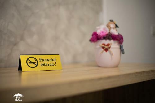 Hostal Piatra Codrilor