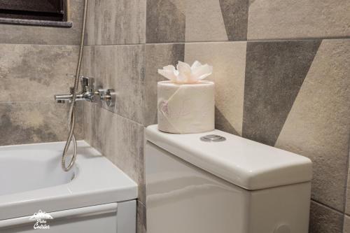Hostal Piatra Codrilor