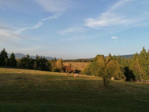 Villa Beechtree Property