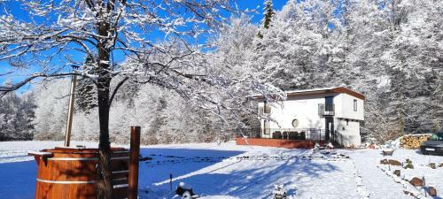 Holiday Nature House