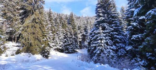 Holiday Nature House