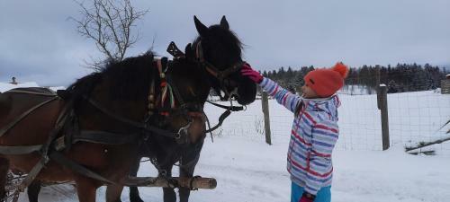 Csendes B�kk 2 Kulcsosh�z
