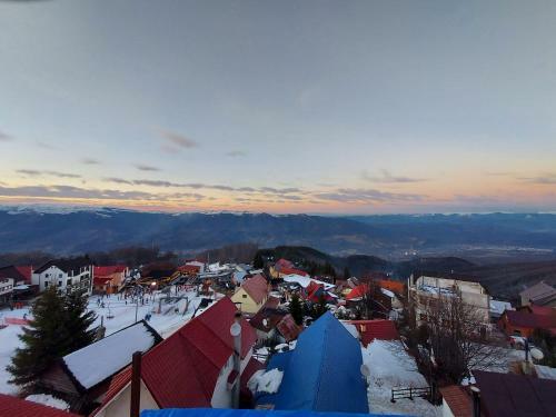 Hostal Pensiunea Luca Straja