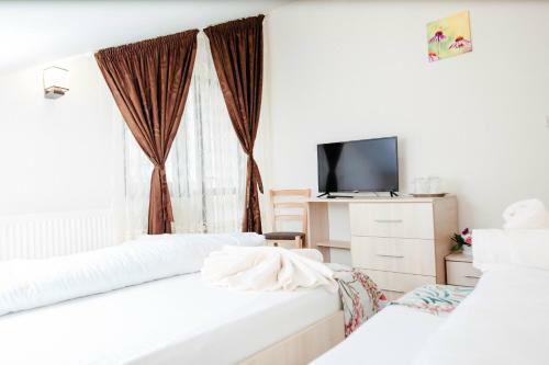 Hostal Pensiunea Sophia