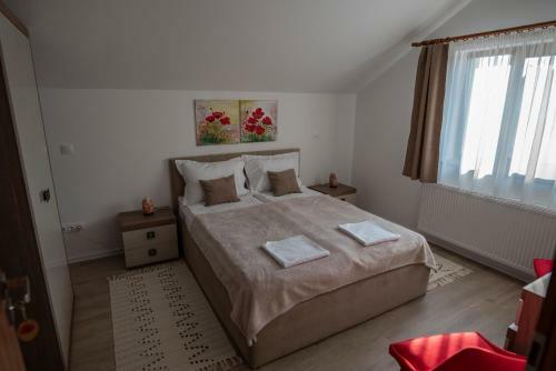 Hostal Pensiunea Gassi